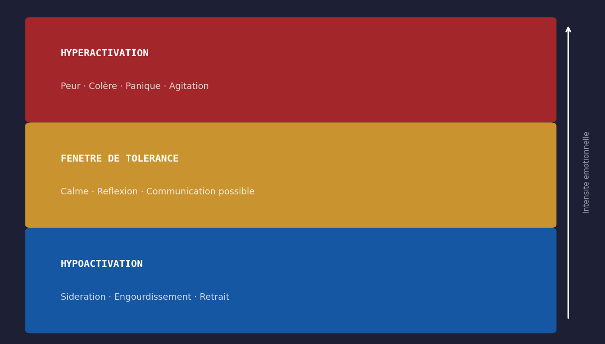Schéma de la fenêtre de tolérance émotionnelle - 3 zones